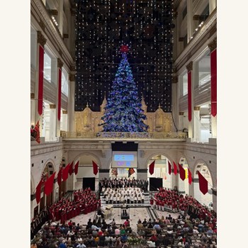 Home for the Holidays