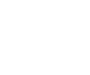 The Barber of Seville