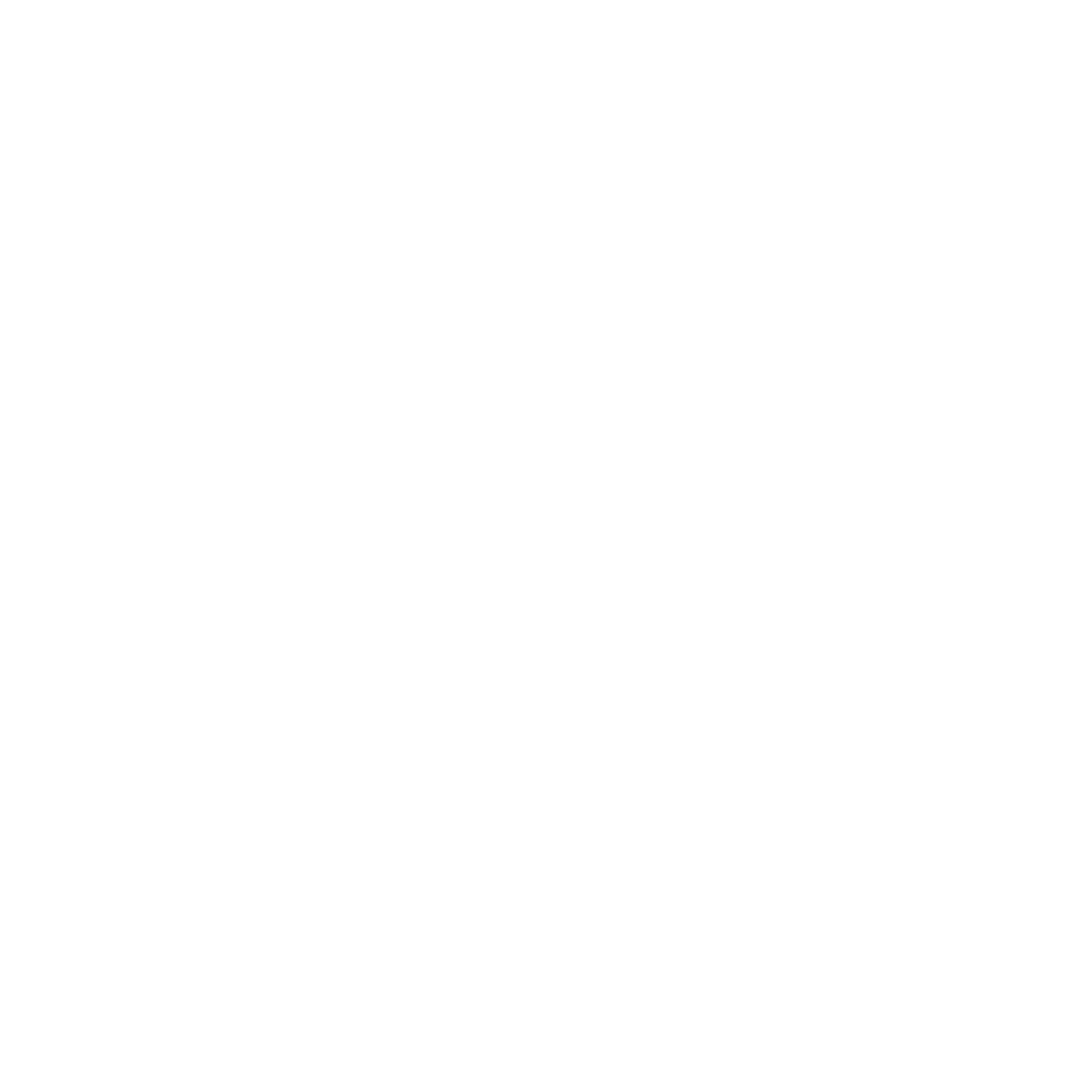 10 Days in a Madhouse